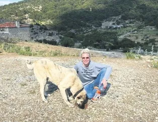 300 milyonluk barınak