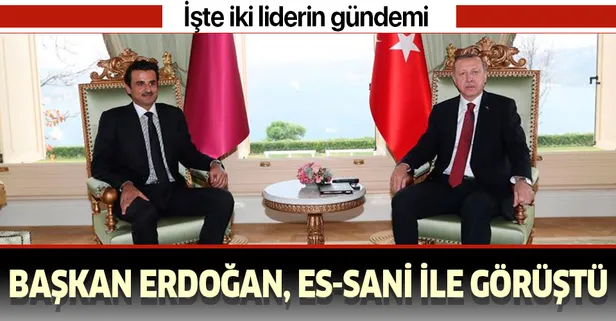 Başkan Erdoğan, Katar Emiri Şeyh Temim bin Hamed es-Sani ile görüştü