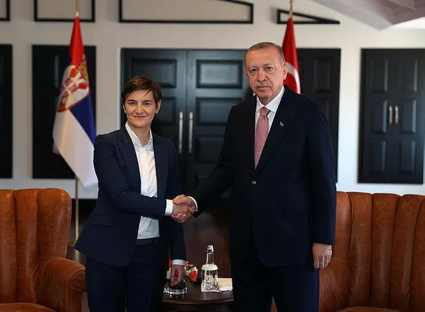 SON DAKİKA: Başkan Erdoğan'dan peş peşe önemli kabuller-3