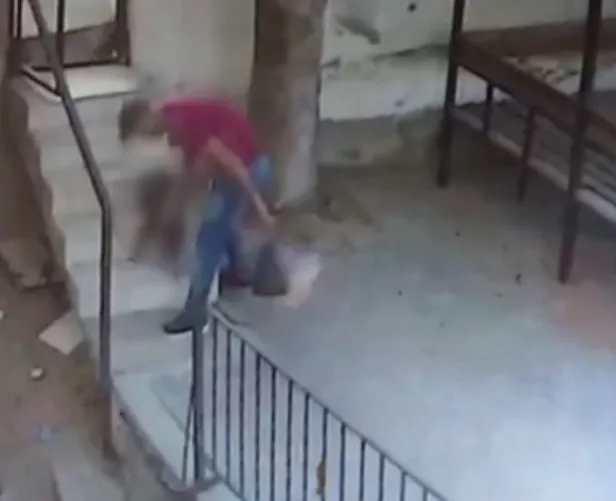 Ankara'da 5 kediyi öldüren köpeğe öldüresiye dayak kamerada-3