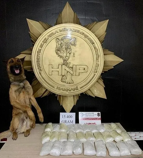 Son dakika: Hakkari'de uyuşturucu operasyonu: 15 kilo 400 gram ele geçirildi-1