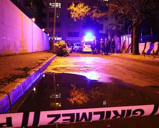 Başını taşla ezerek öldürdü