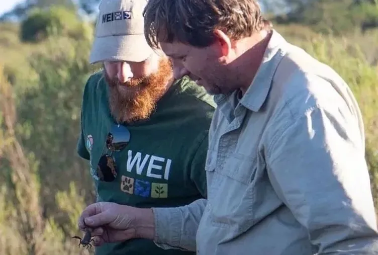 Hedefi Mardin akrebiymiş
