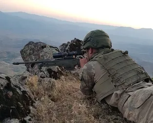 Son dakika haberi: Hakurka pençe harekatı sürüyor! İşte öldürülen terörist sayısı