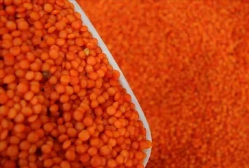 Mercimek hayat demek