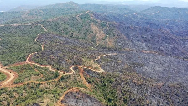 marmaris-yangininda-alevlerin-onunu-emniyet-seridi-kesti-1656082396358.jpg Marmaris yangınında alevlerin önünü emniyet şeridi kesti-2