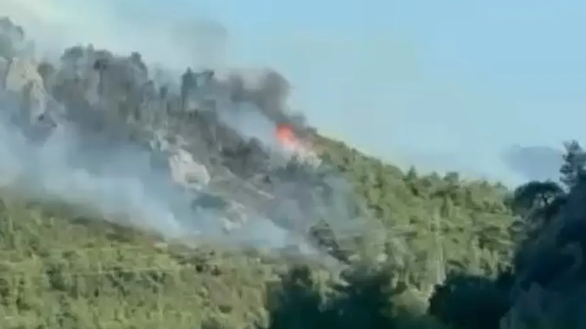 Uludağ’ın eteklerinde alarm! Bursa Kestel’de 3 farklı noktada orman yangını