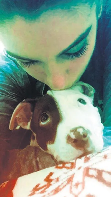 Köpeği Poyraz'ın katilini arıyor!