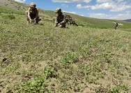 Son dakika: Hakkaride terör operasyonu: 10 bin kök Hint keneviri ve çok sayıda mühimmat ele geçirildi