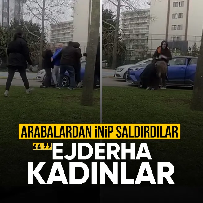 Kadınların trafik kavgası
