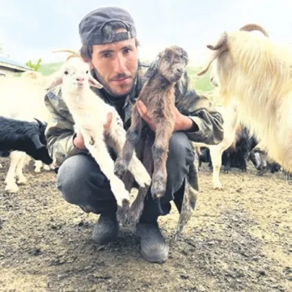 Süt arzında geçici düşüş