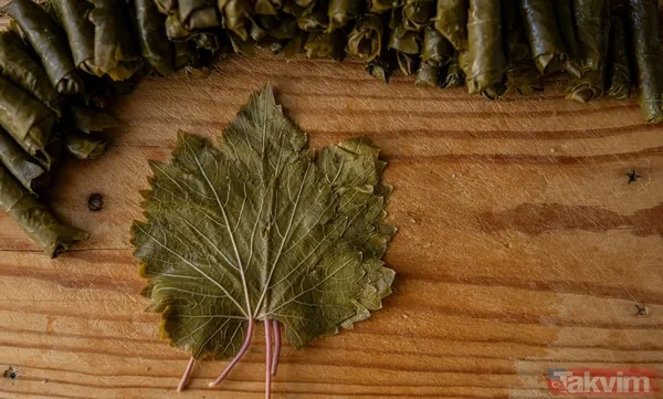 Kalem gibi incecik yapmanın sırrı buymuş! Çerez gibi yenen sarma tarifi - 6