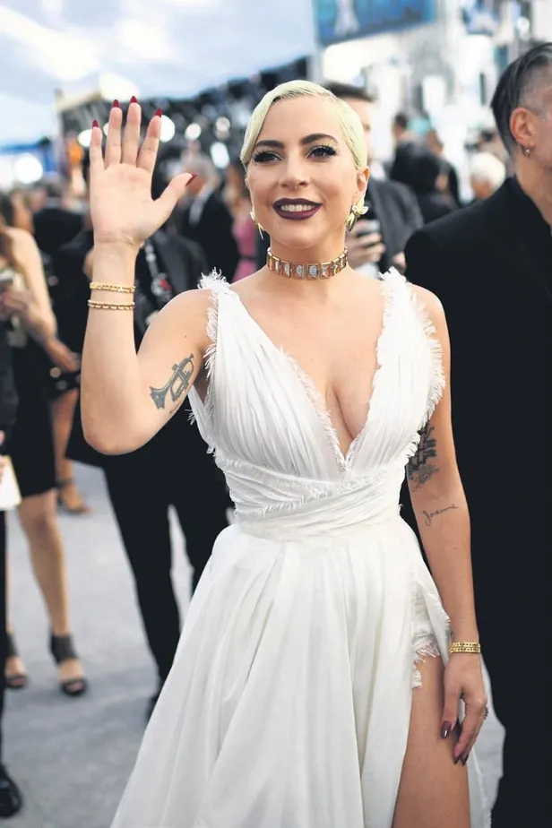 Böyle olur zenginin oyuncağı! Lady Gaga, 500 bin dolara hayalet algılama makinesi aldı-2