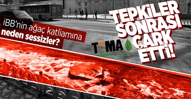 TEMA, CHP'li İBB'nin ağaç katliamına neden sessiz? Tepkilerden sonra çark etti