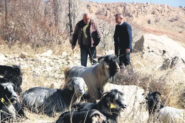 hayata-bagis-yurttan-haber-dunyadan-haberler-1674350523314.jpeg Hayata bağış! (Yurttan haber dünyadan haberler)-1