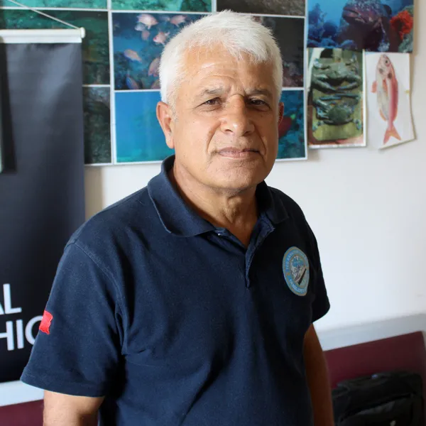 akdenizde-balikcilar-balon-baliklarindan-sonra-yunuslardan-sikayetci-gunluk-10-bin-lira-zarar-veriyorlar-1608878462867.jpg Akdeniz'de balıkçılar balon balıklarından sonra yunuslardan şikayetçi: Günlük 10 bin lira zarar veriyorlar-4