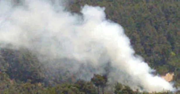 Adana'da çıkan orman yangında 3 dekar ormanlık alan zarar gördü