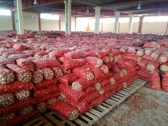 Ankara'da depoda stoklanmış 1300 ton kuru soğan çıktı-3