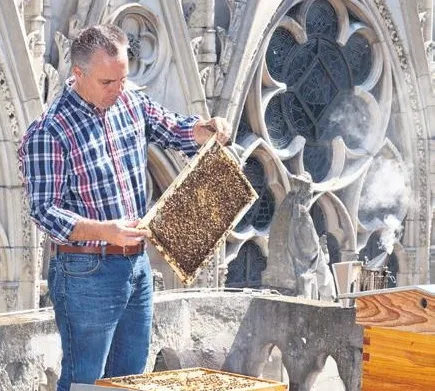 Notre Dame Katedrali'ndeki yangından kurtuldular!-1