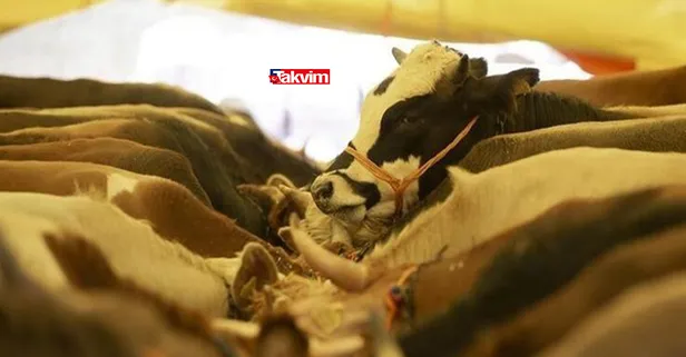 Bayrama kaç gün kaldı? Kurban Bayramı 1. gün ne zaman 2021? Bayram tatili ne zaman başlıyor, ne zaman bitiyor?