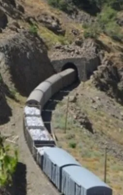 Bingöl'de bombalı tuzak!