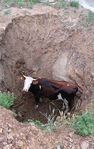 Pendik'te ilginç operasyon! 5 saatlik esaret son buldu