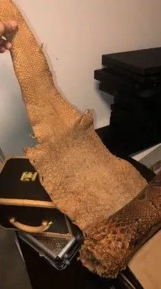 cok-sayida-unlu-ismi-magdur-eden-yeni-sulun-osman-cetesi-safak-operasyonuyla-cokertildi-1597395265230.jpg Çok sayıda ünlü ismi mağdur eden "Yeni Sülün Osman" çetesi şafak operasyonuyla çökertildi!-3