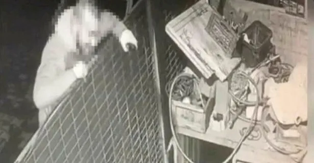 Son dakika: İstanbul Başakşehir’de köpeği silahla vurarak öldüren cani tutuklandı