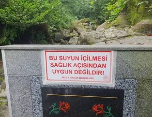 Rize’de yıllardır şifalı diye içiliyordu! Arsenik çıktı!