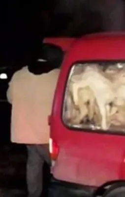 Sıra dışı şoförler