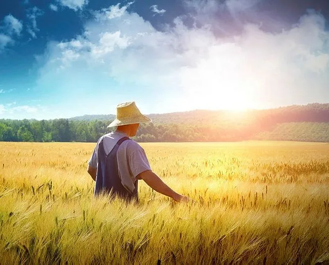 Çiftçiye arazi müjdesi geldi