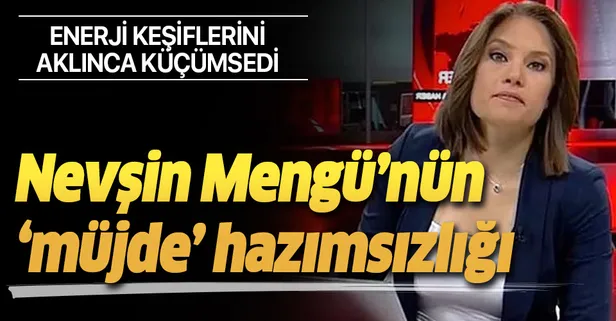 Nevşin Mengü'nün 'müjde' hazımsızlığı! Enerji keşiflerini aklınca küçümsedi