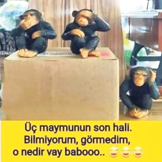 kadin-sohbetlerinde-en-cok-kullanilan-kelimeler-1778614187564.jpeg