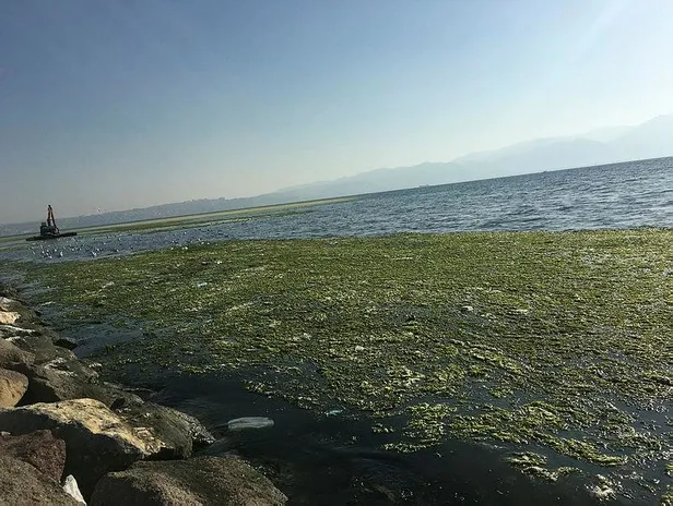 Aziz Kocaoğlu, İzmir'i değil Körfez'i yeşil yaptı-3