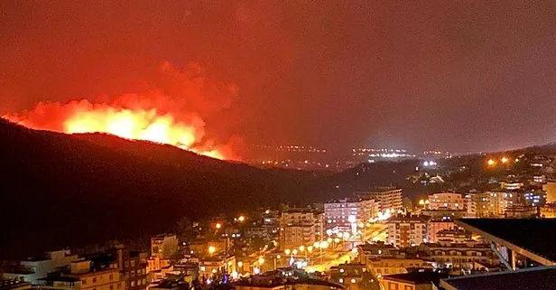 Atesin Cocuklari Insiyatifi Nedir Hatay Yanginlarini Ustlenen Atesin Cocuklari Insiyatifi Kimdir Takvim