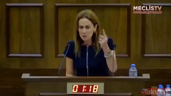 Çipras ve HDP'lilerin kankası KKTC vekili Doğuş Derya Türkiye'yi hedef aldı! Rauf Denktaş'ın kemiklerini sızlatan konuşma - 6