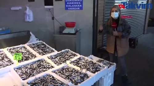 Karadeniz soğudu hamsi fiyatı yarıya düştü