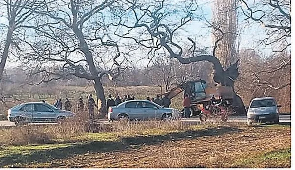 Yunanistan’da Tepedelenli Ali Paşa Hazinesi iştah kabarttı! Gömülerin değeri 500 milyon dolar değerinde-2