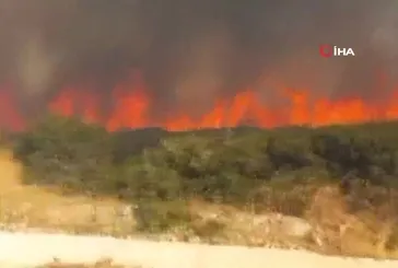 Çanakkale Ezine'de yangın!
