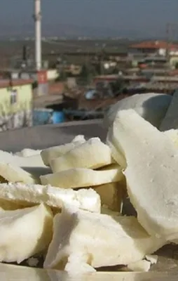 Antep peyniri tescilleniyor