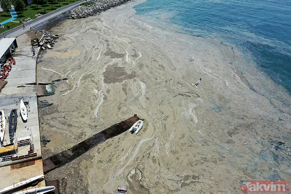 Marmara müsilaj işgalinde! Felaket 2 yıl önce geliyorum demiş! O rapor ortaya çıktı! - 22