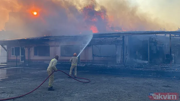 İzmir ve diğer illerde alevler kontrol altına alındı! Menderes'i yakan 'hobi' Çeşme'de izmarit izi: Bakan 'haftaya dikkat' diyerek uyardı - 40