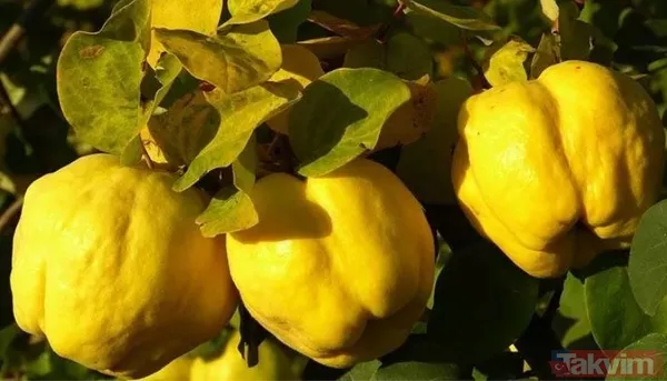 Hızlı kilo vermek isteyenler dikkat! Bu yöntemi mutlaka deneyin! Yemeklerden önce 1 kase tüketince bakın neler oluyor - 11