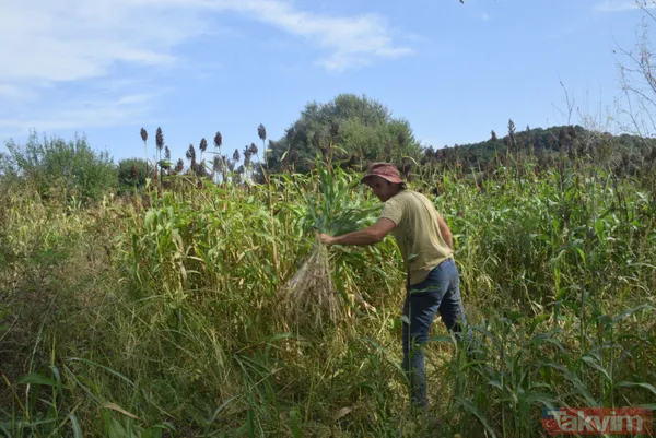 Kilosu 100 lira! Pişmesi 10 saati bulan şeker kamışı pekmezi yok satıyor - 12