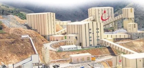 Altın hisse!