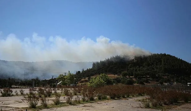gelibolu-yarimadasi-tarihi-alan-bolgesinde-cikan-yangin-kontrol-altina-alindi-1690731314875.jpeg Gelibolu Yarımadası Tarihi Alan bölgesinde çıkan yangın kontrol altına alındı-5