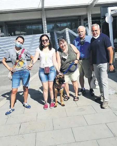 kayseride-siddete-maruz-kalan-kopek-italyada-yeni-sahibine-kavustu-1598226174824.jpeg Kayseri'de şiddete maruz kalan kurt köpeği İtalya'da yeni sahibine kavuştu-1