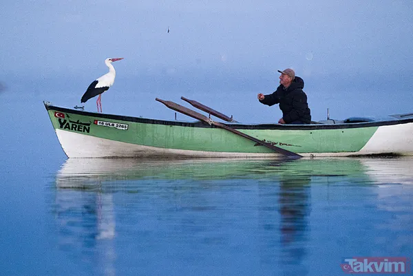 Yaren Leylek geldi: 14 yıl oldu! Yine Adem Yılmaz'ın kayığına kondu - 9