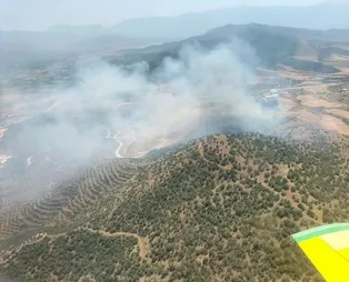İzmir'de tarlada çıkan yangın, ormana sıçradı! Müdahaleler sürüyor