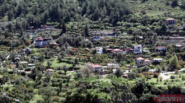 Adeta cennetten bir köşe! Kelebekler Vadisi'ni besleyen şelaleyi kurutan işletmelerin kaçak su kullanmaya devam ettikleri ortaya çıktı - 5